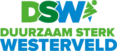logo DSW